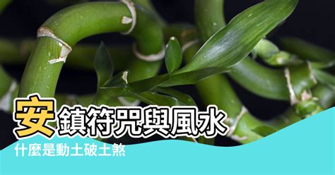 動土煞化解植物|什麼樹可以擋煞？風水植物推薦與擺放攻略 